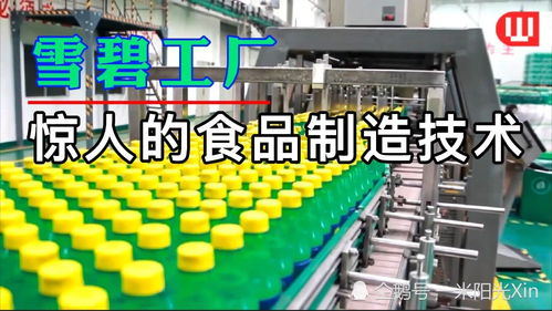 雪碧工厂 食品制造技术与软件开发的完美融合